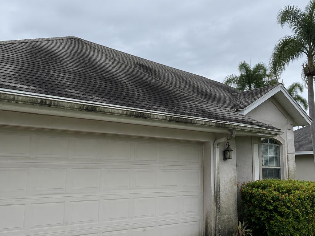Roof Cleaning before cleaning